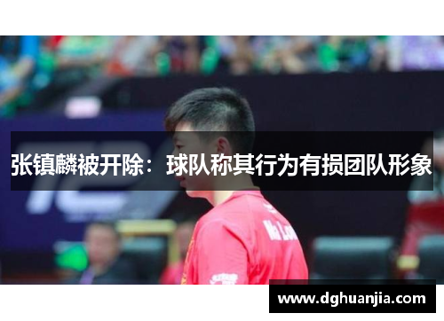 张镇麟被开除：球队称其行为有损团队形象
